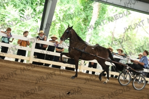 JHM_0347