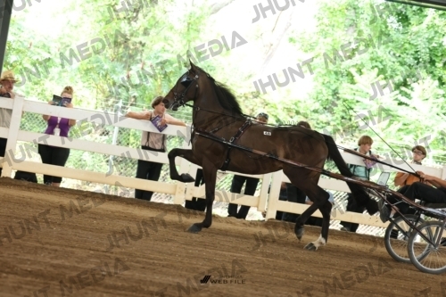 JHM_0348