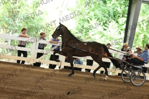 JHM_0354