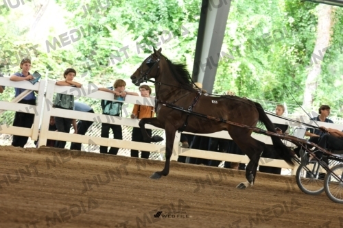 JHM_0361