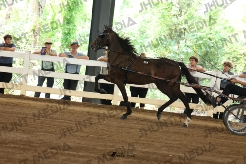 JHM_0362