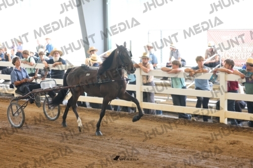 JHM_0738
