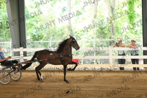JHM_0739