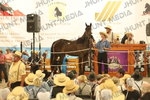 JHM_1428