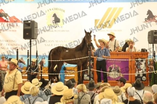 JHM_1429