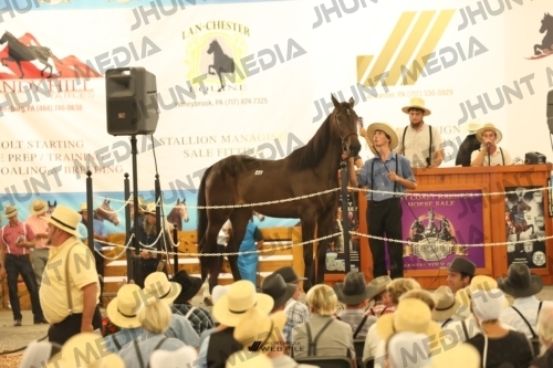 JHM_1431