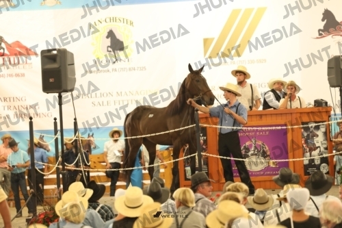 JHM_1433