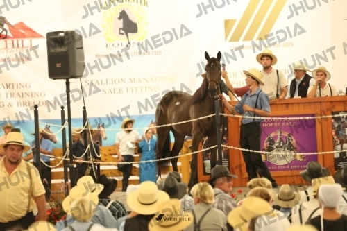 JHM_1434
