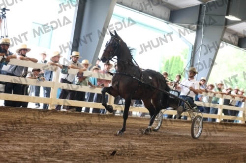 JHM_0052
