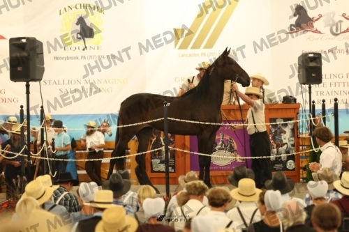 JHM_1184