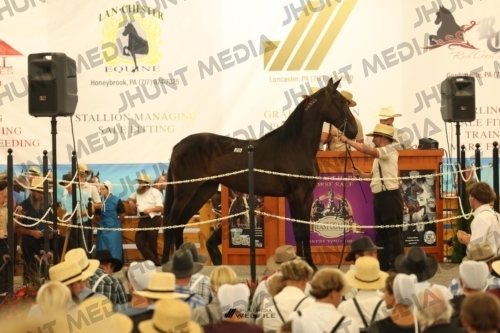 JHM_1185