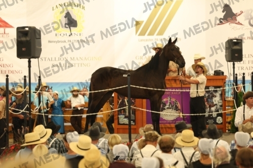 JHM_1186