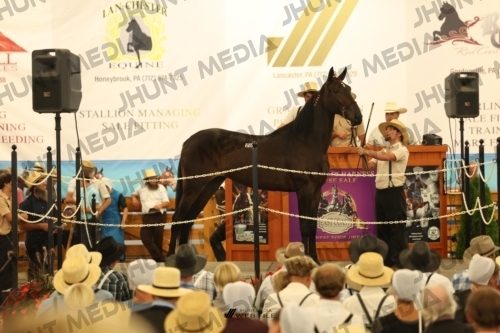 JHM_1187