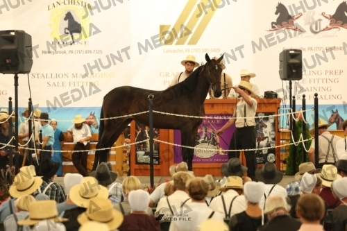 JHM_1191