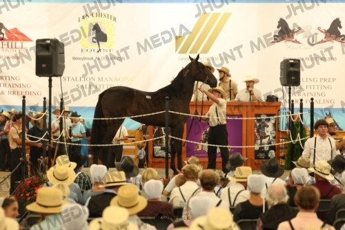 JHM_1192
