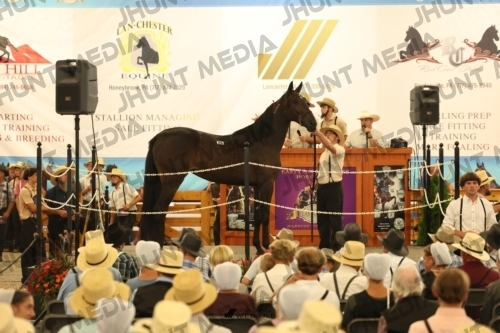 JHM_1193