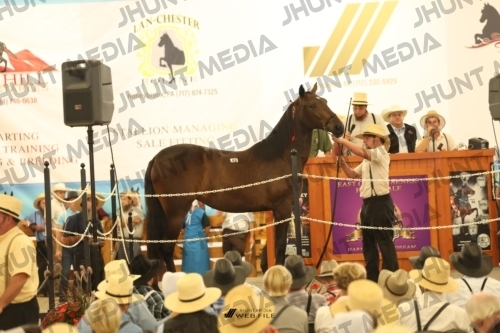 JHM_1400
