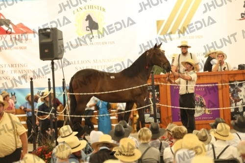 JHM_1401