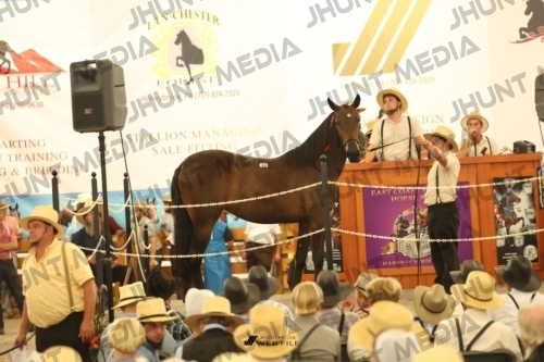 JHM_1402