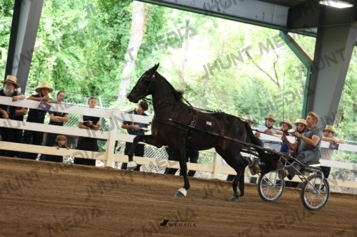 JHM_0368