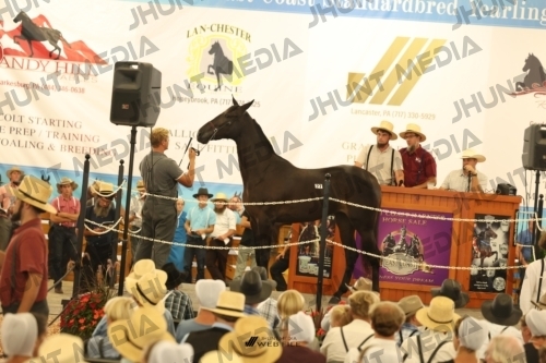JHM_1194