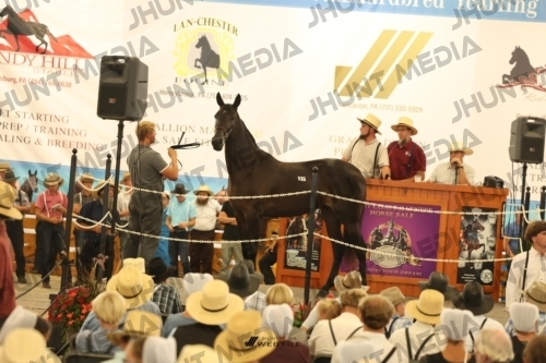 JHM_1195
