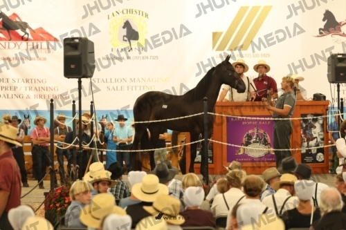 JHM_1197
