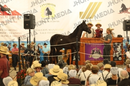 JHM_1198