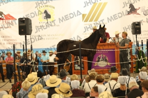 JHM_1199
