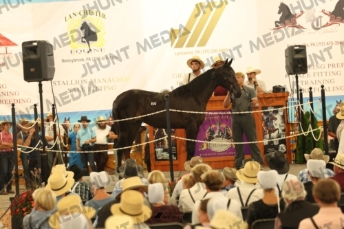JHM_1202