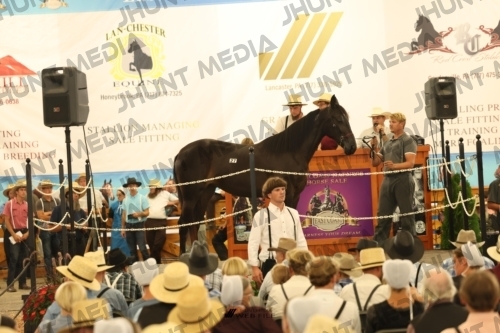 JHM_1205