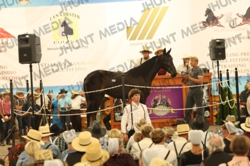 JHM_1206