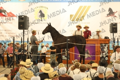 JHM_1207