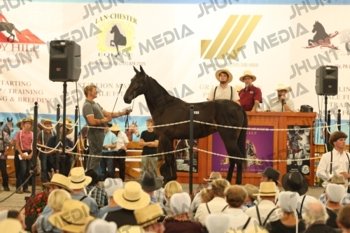 JHM_1208