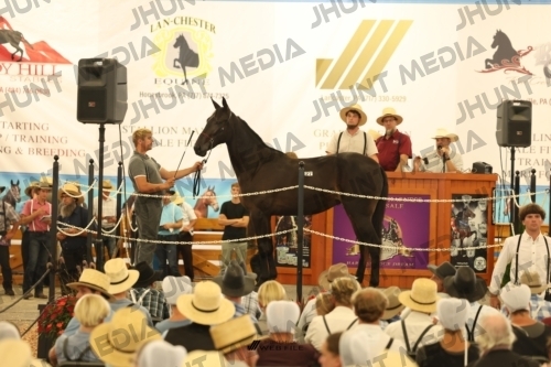 JHM_1209