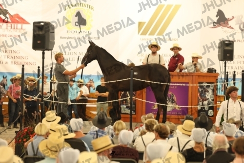 JHM_1210
