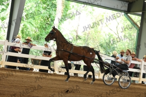 JHM_0429