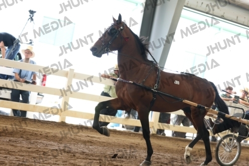 JHM_0496