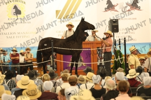 JHM_1224
