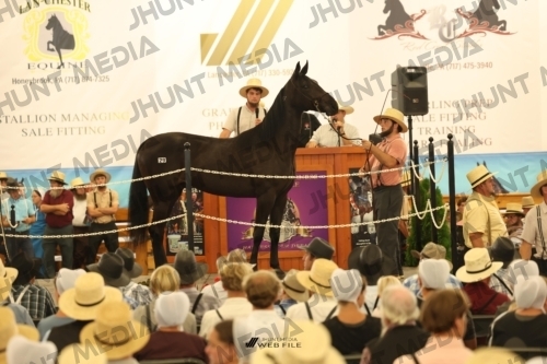 JHM_1225