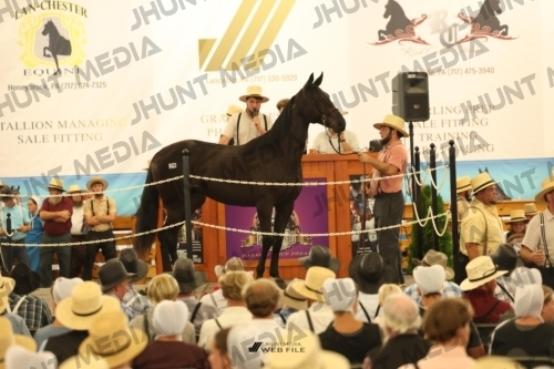 JHM_1226