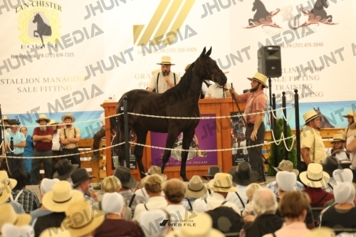 JHM_1227