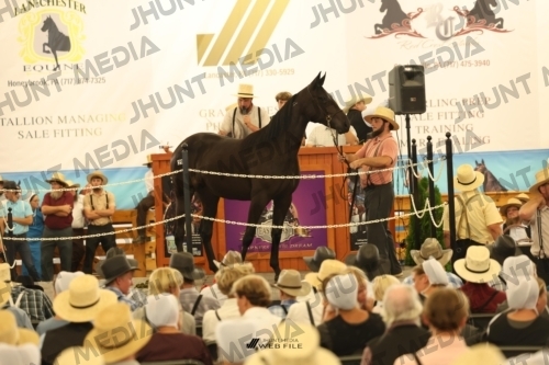 JHM_1228