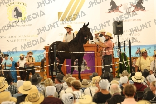 JHM_1229