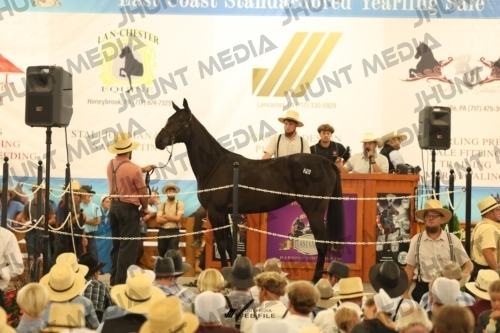 JHM_1232