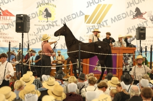 JHM_1234