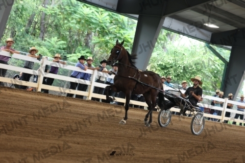 JHM_0580