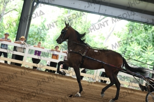 JHM_0586