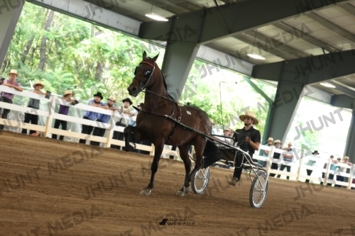 JHM_0592