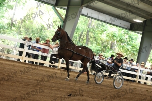 JHM_0597